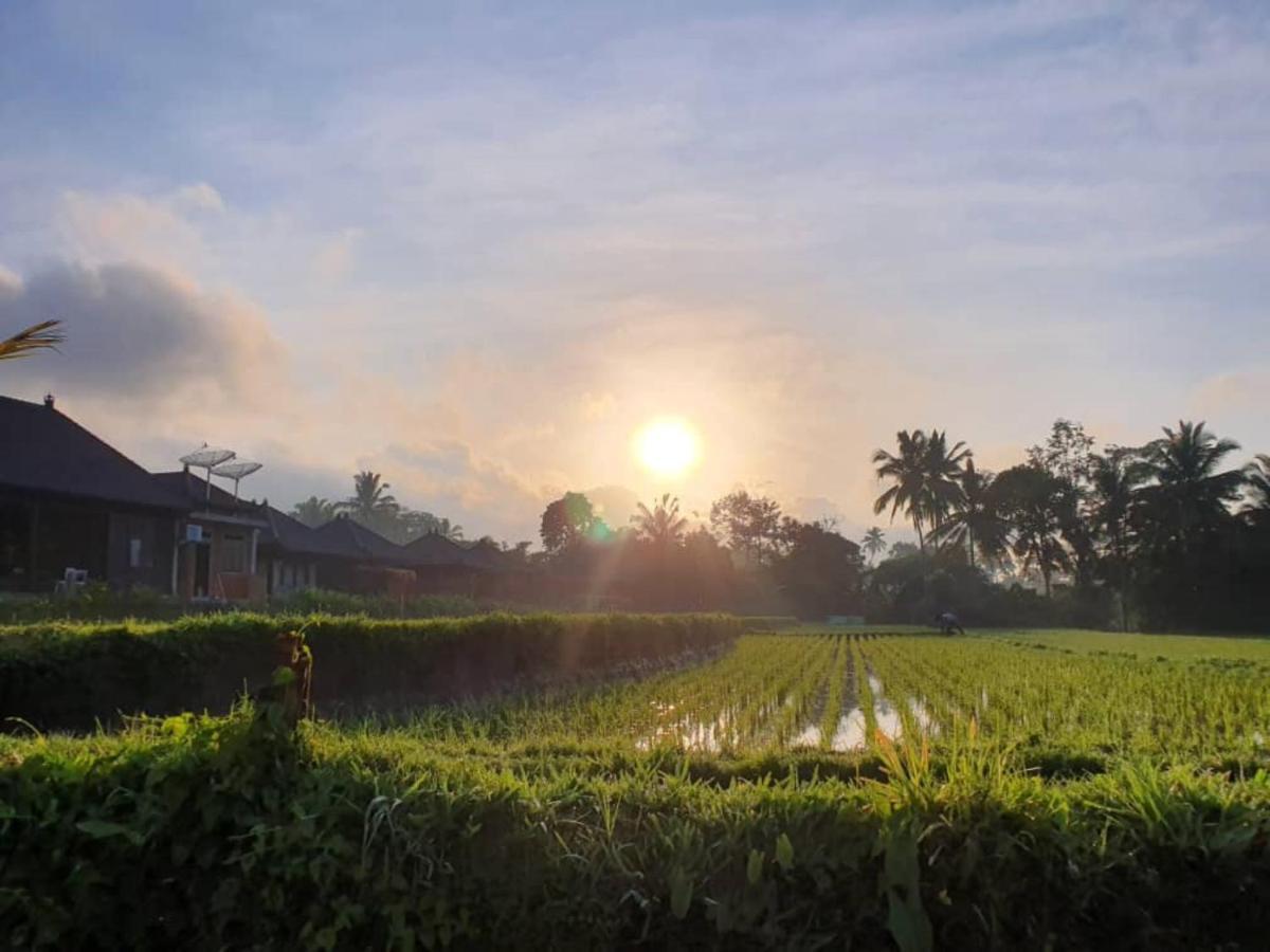 טגלאלאנג Kayangan Villa Ubud מראה חיצוני תמונה