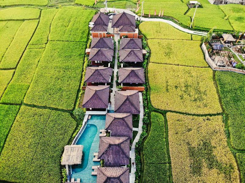 טגלאלאנג Kayangan Villa Ubud מראה חיצוני תמונה